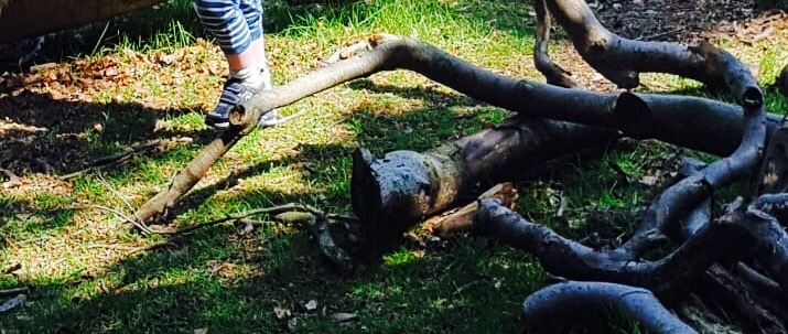 What are Gross Motor&nbsp;Skills?