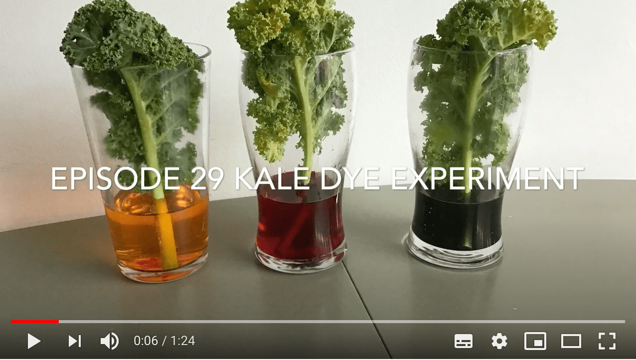 Screenshot 2020-05-09 at 13.45.13